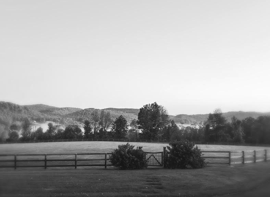 Picture of fields, the venue